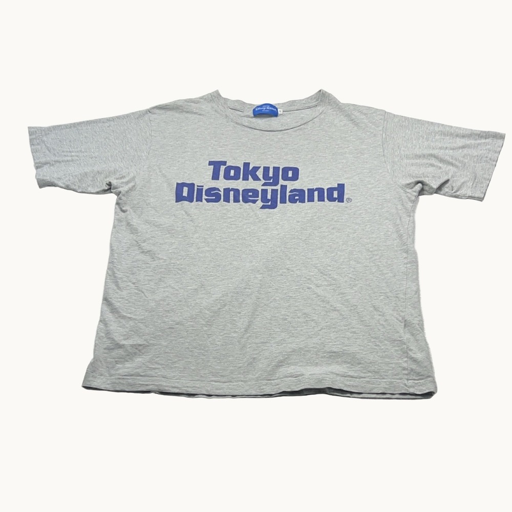 Tokyo Disneyland Graphic T-Shirt Mens Large Heather Gray Blue